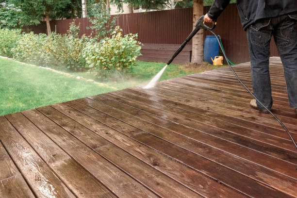 Best Solar Panel Cleaning  in Vineyards, FL